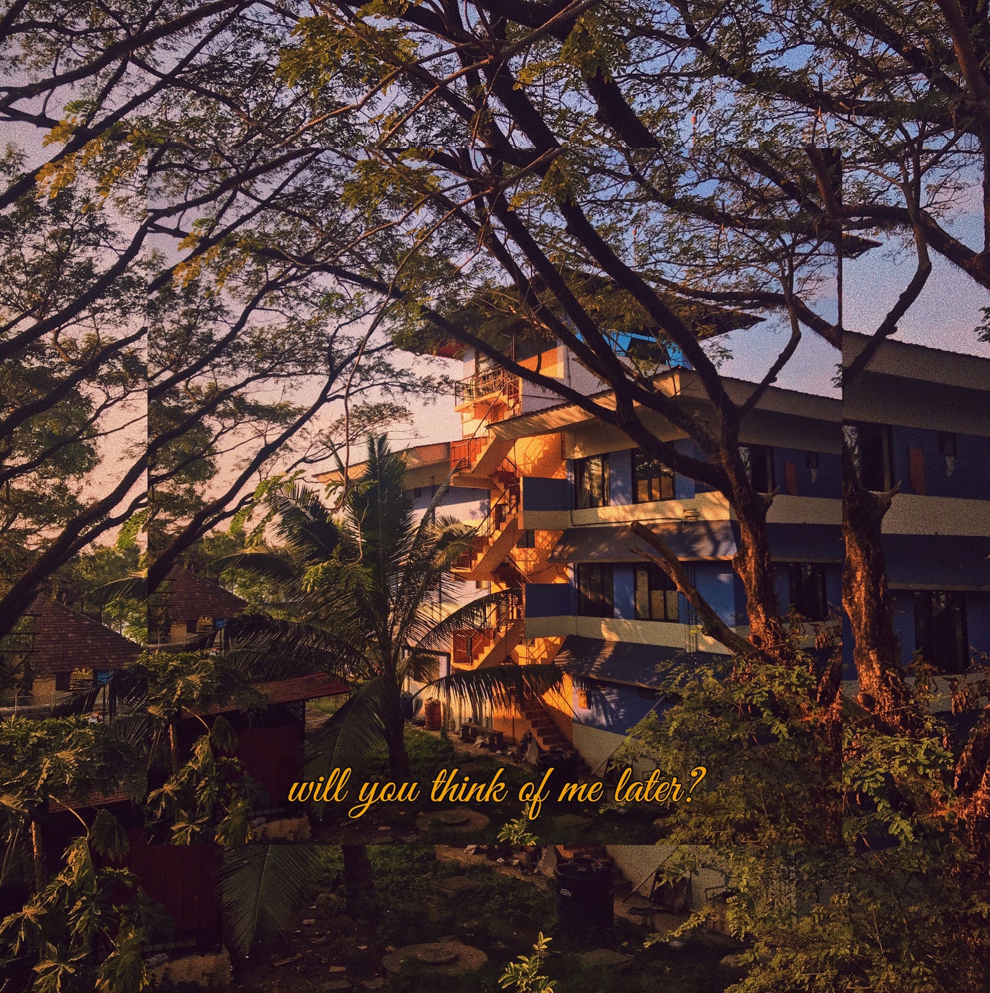 Will You Think of Me Later? - Digital Download