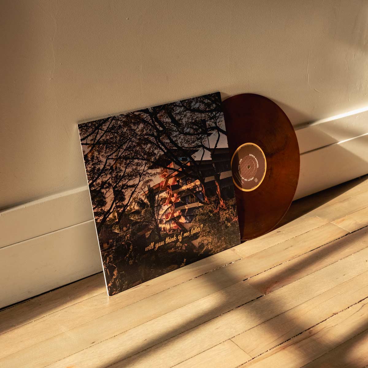 Will You Think of Me Later? - Limited Edition Vinyl
