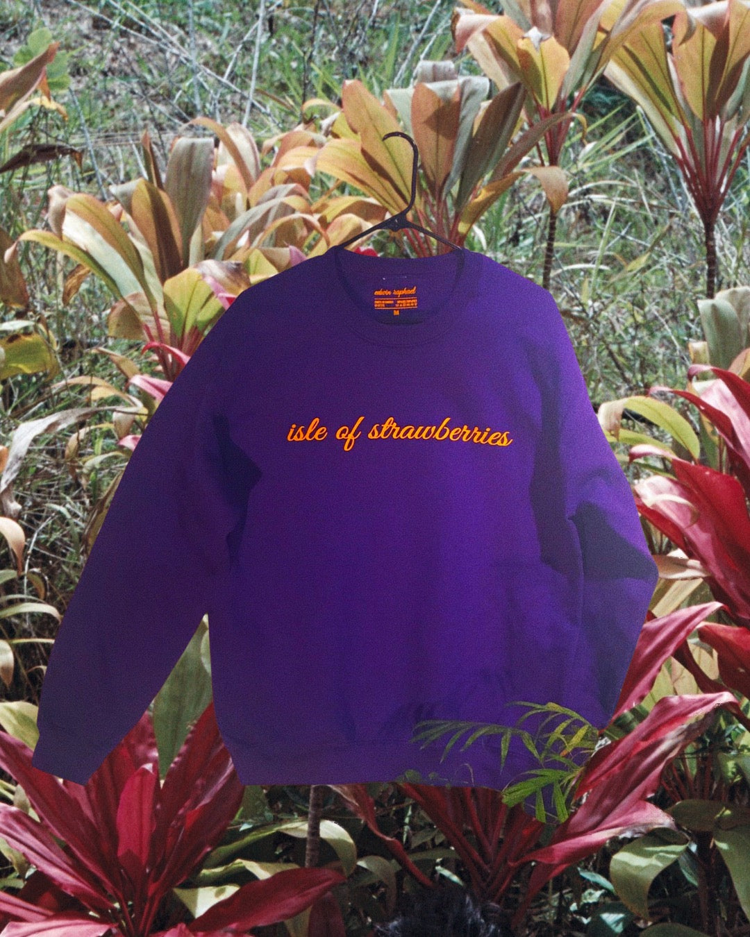 Isle Of Strawberries Pullover