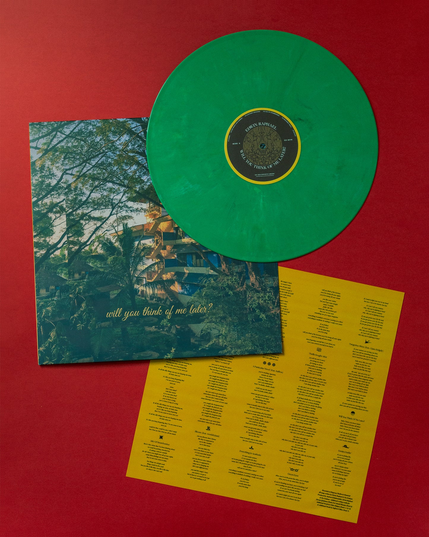Will You Think of Me Later? - Eco Jade Vinyl